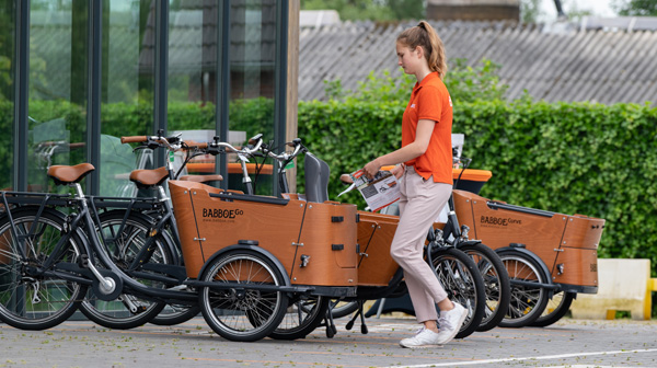 Clip vlinder vrijgesteld Inspireren Bakfiets met 2 of 3 wielen kiezen? | Babboe